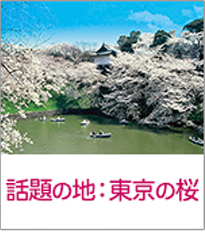 話題の地：東京の桜
