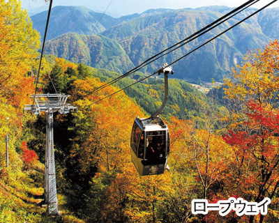 そらさんぽ天龍峡と紅葉が彩る天空の楽園 ヘブンスそのはら 日帰りコース 公式 バンビツアーで快適な旅 バスツアー 旅行なら遠州鉄道のバンビツアー