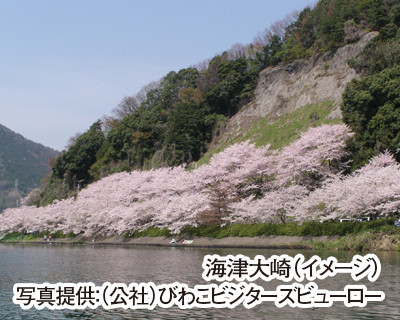 彦根城下町散策と船から臨む琵琶湖 海津大崎の桜
