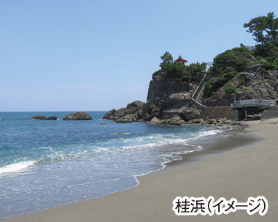 ﾌﾟﾚﾐｱﾑｸﾞﾗﾝｼｽで行く！南国土佐ﾄﾞﾗﾏで話題!やなせたかし記念館･高知城･桂浜