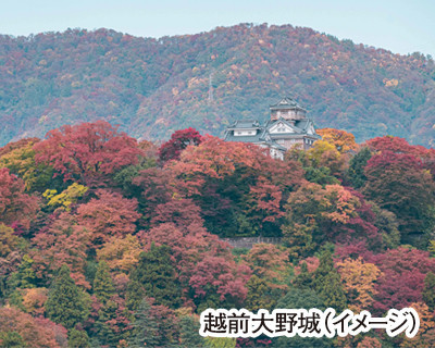 北陸のＷ名湯 山中温泉･和倉温泉と奥能登